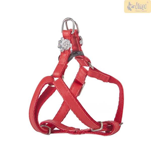 DG SZELKI DLA YORKA CZERWONE