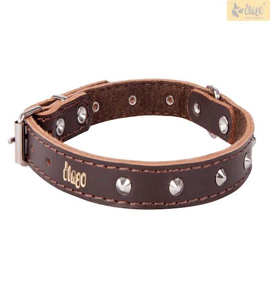 DG OBROŻA SK.OZD.1,2X36CM BRĄZOWA