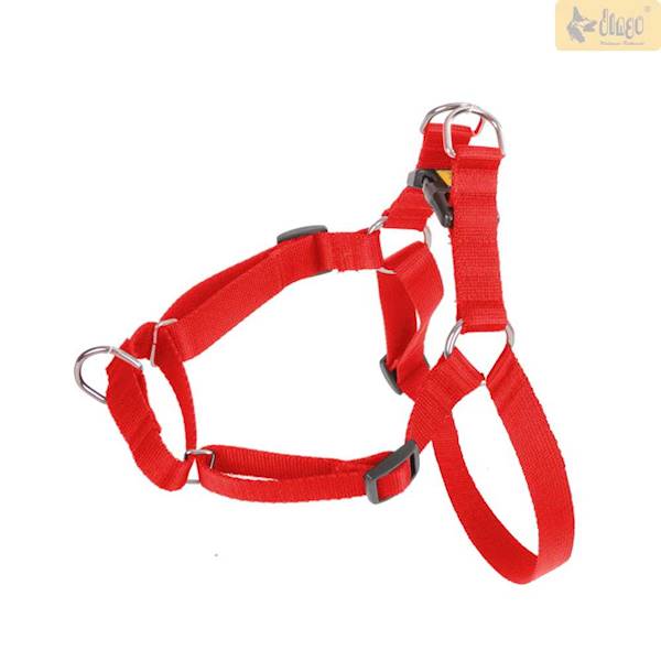 DG SZELKI 'EASY WALK' 100 /70-105/ CZERWONE