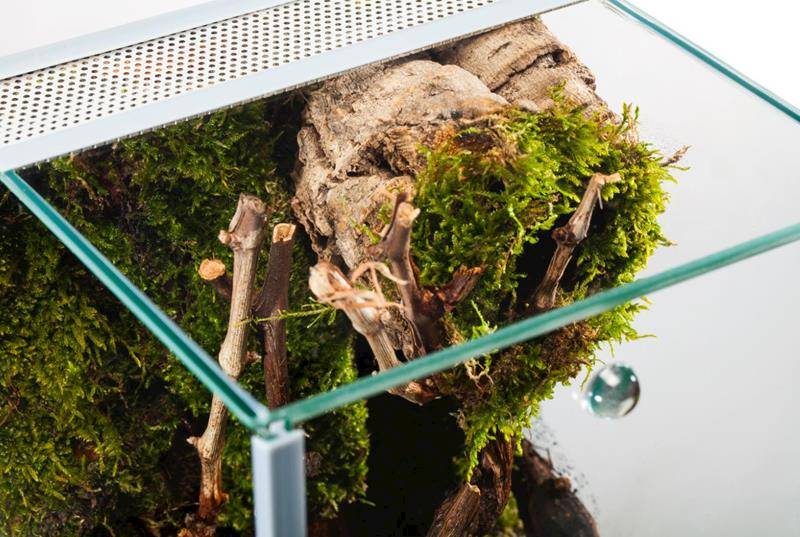 DIVERSA TERRARIUM PAJĄK 22,5L 25x30x30 3MM