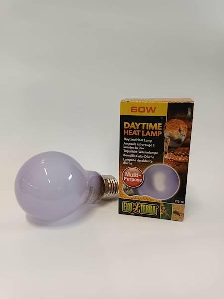 HAGEN ŻARÓWKA DAY-GLO A19/60W  EX-1108