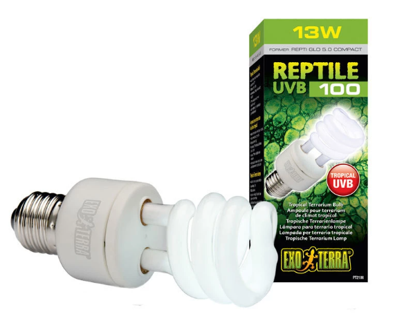 HAGEN ŻARÓWKA REPTIGLO5,0 13WCOMPACTUVB100 EX-1863