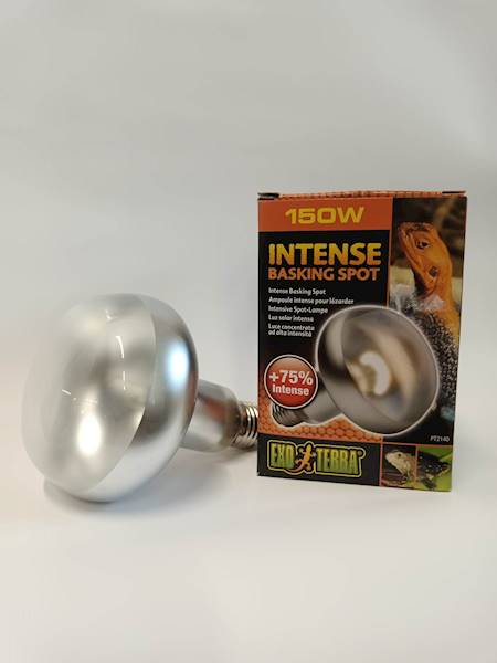 HAGEN ŻARÓWKA INTENSE BASKING 150W DZIENNA EX-1405