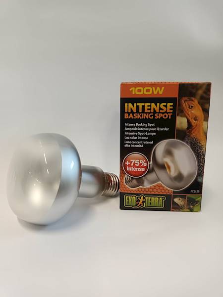 HAGEN ŻARÓWKA INTENSE BASKINGSPOT100W 80MM EX-1382