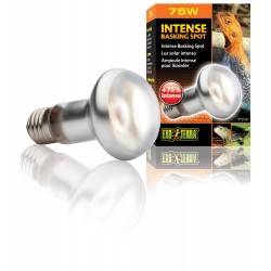 HAGEN ŻARÓWKA INTENSE BASKINGSPOT75W 63MM EX-1368