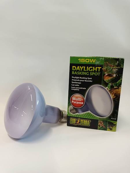 HAGEN ŻARÓWKA DAYLIGHT BASKINGSPOTR30/150W EX-8566