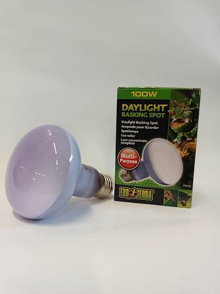 HAGEN ŻARÓWKA DAYLIGHT BASKINGSPOTR25/100W EX-1337