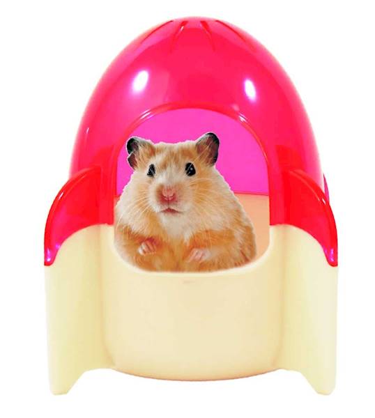 HP DOMEK DLA CHOMIKA RAKIETA