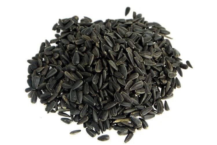 BRATEK SŁONECZNIK CZARNY 1KG