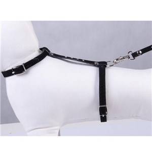 DINO SMYCZ Z SZELKAMI KOT CYRKONIA