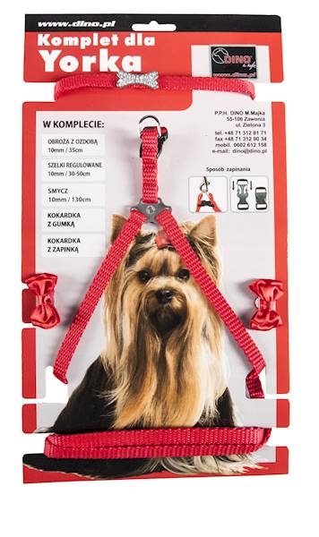 DINO KOMPLET DLA YORKA KOLOR MIX