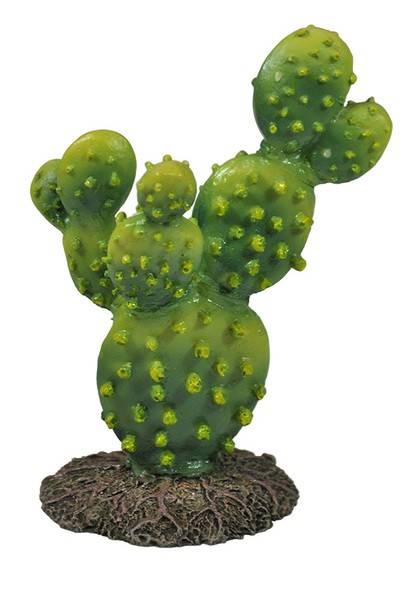 HP OZDOBA DO TERRARIUM KAKTUS