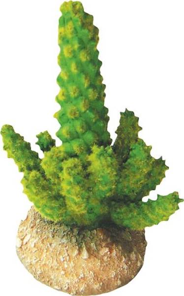 OZDOBA DO TERRARIUM KAKTUS