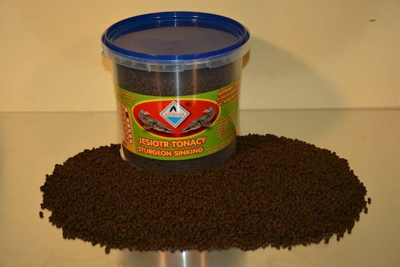 KT JESIOTR 3L WIADERKO