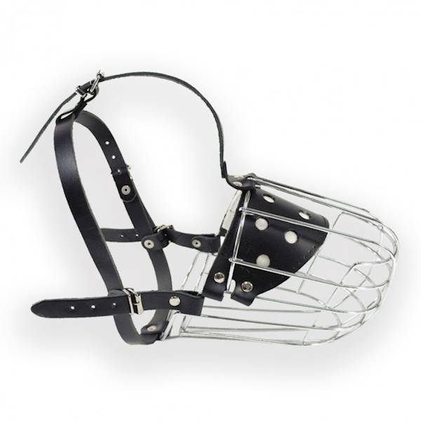 DINO KAGANIEC MET. NR 9 NATURA OWCZAREK POD.