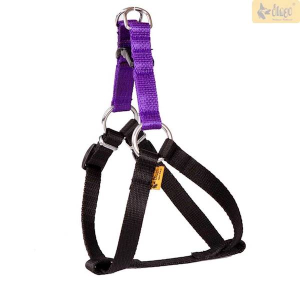 DG SZELKI ENERGY 40 FIOLETOWE