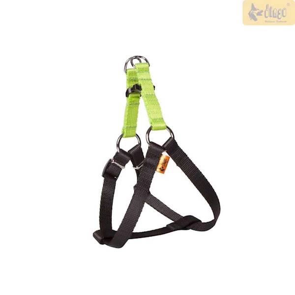 DG SZELKI FRED 40  ENERGY ZIELONE