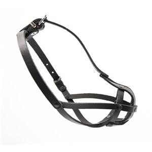 DINO KAGANIEC SK. 1 PEKIŃCZYK/MALTAŃCZYK