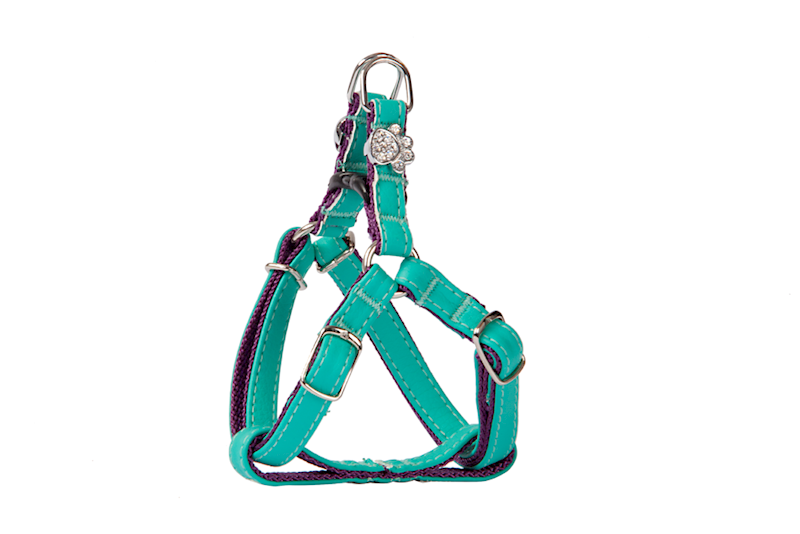 DG SZELKI DLA YORKA 'NEW YORK' MIĘTOWE