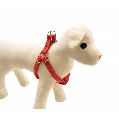 DINO SZELKI TAŚMA REG. 25mm/60-90cm ODBL. CZERWON 