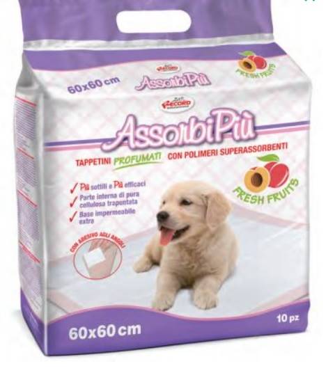 RECORD PODKŁADY OWOC 60x60 10SZT