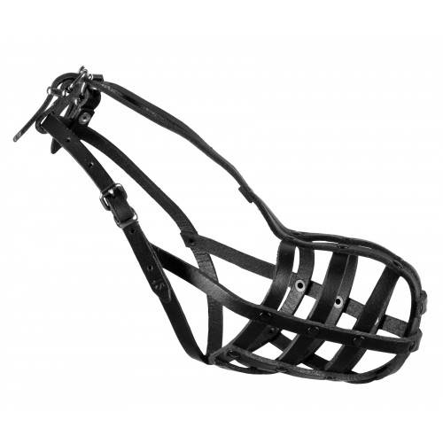 DINO KAGANIEC SK. NIT. 12 OWCZAREK MAŁY