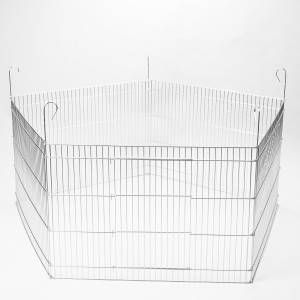 IN KLATKA PARK 1 60X80