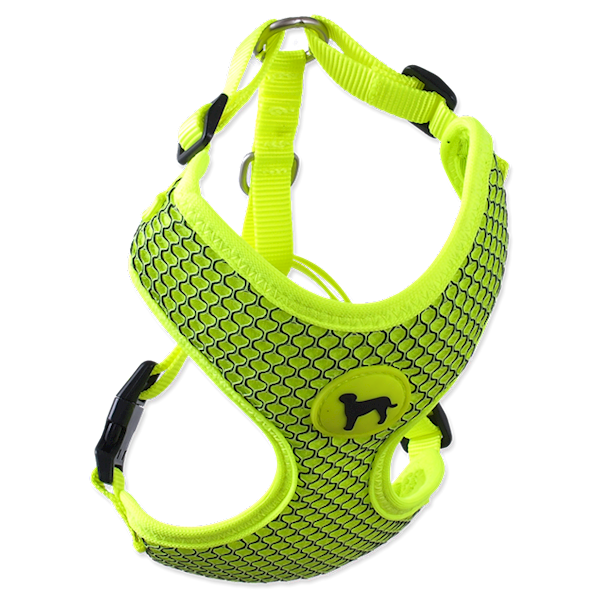 PL SZELKI XS 1,5x30-40CM SELEDYNOWE