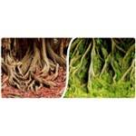 HP TŁO AKWARIOWE 40CM/15M 8009