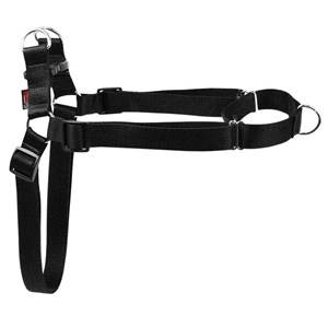 DINO SZELKI TAŚMA EASY WALK 30MM/75-125CM "125"