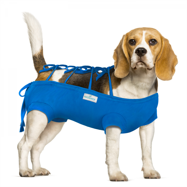 UBRANKO OCHRONNE NR 6