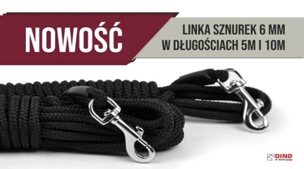 DINO LINKA 10m/6mm SZNUREK