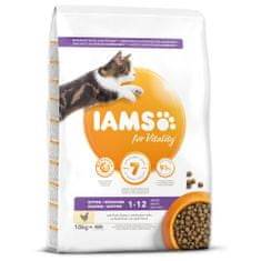 IAMS CAT 10KG KITTEN