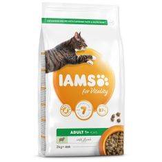 IAMS CAT 10KG ADULT LAMB