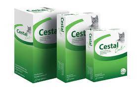 MED CESTAL CAT FLAVOUR 8 TABL.
