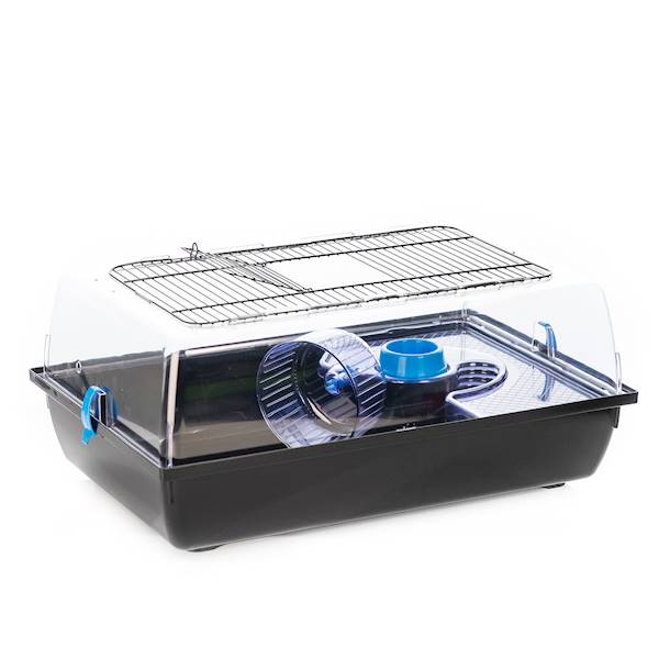 IN KLATKA ALEX Z WYPOSAŻENIEM