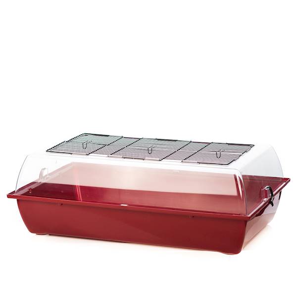 IN KLATKA BIG ALEX EMPTY