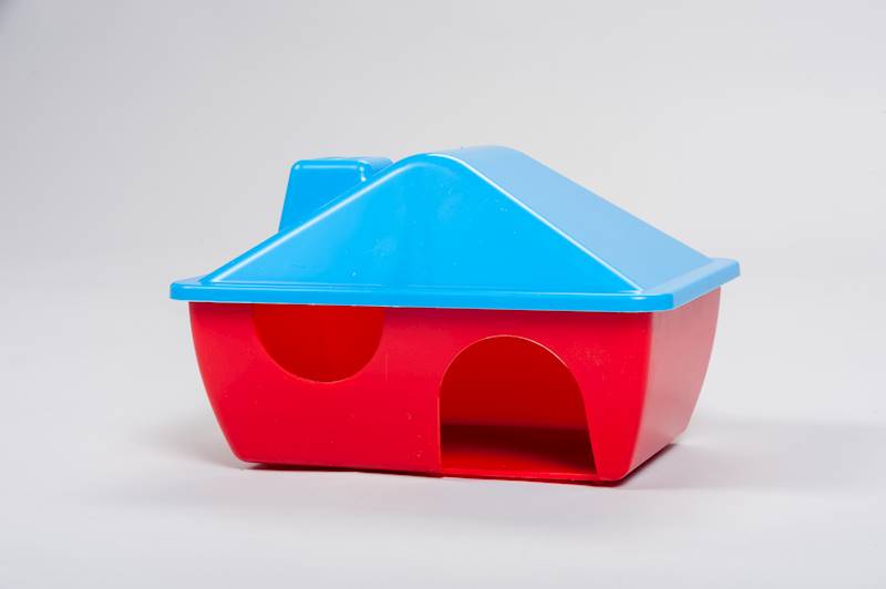 IN CHATKA DLA CHOMIKA