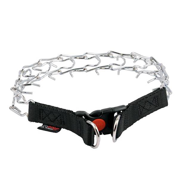 DINO KOLCZATKA Z TAŚMĄ I ZAPINKĄ 2 30MM/60CM