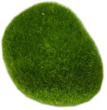 EU DEKORACJA GAŁĘZATKA