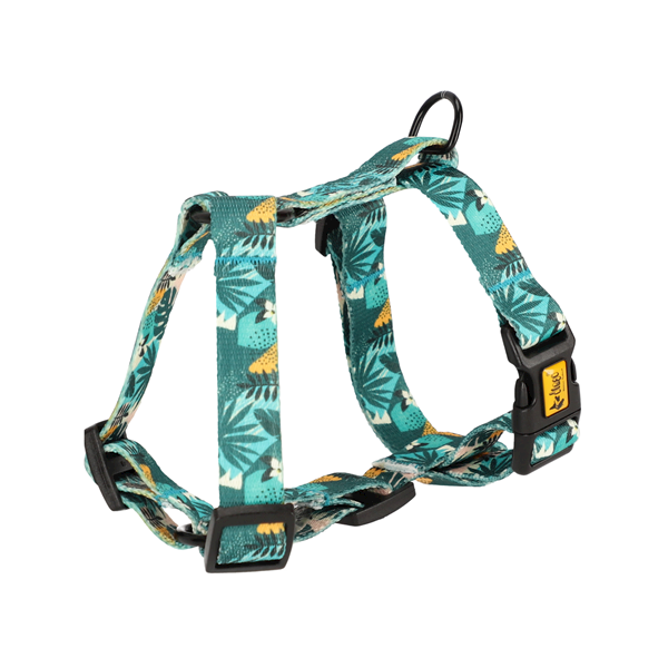 DG SZELKI M  DWUPASKOWE GUARD CITY MONSERA 38-70