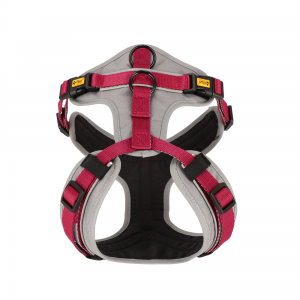 DG SZELKI DLA PSA ULTRA ACTIVE ROZM. XS BORDO