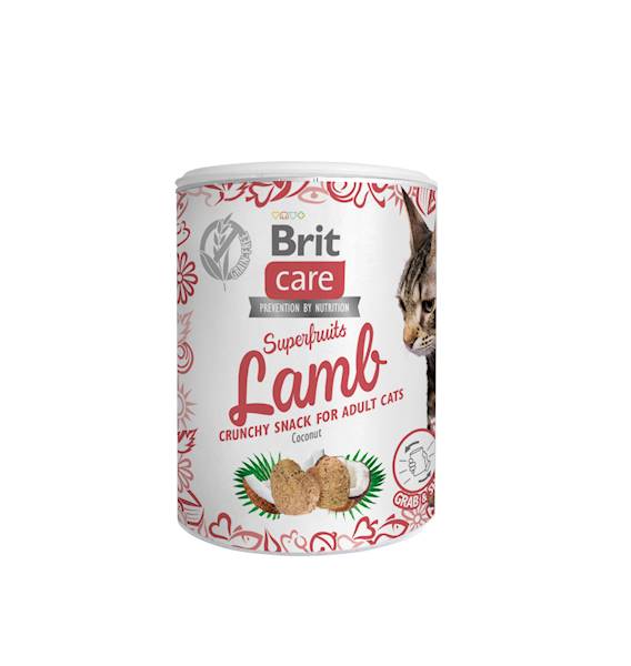 BRIT CARE CAT 100G SNACK SUPERFRUITS LAMB PUSZKA