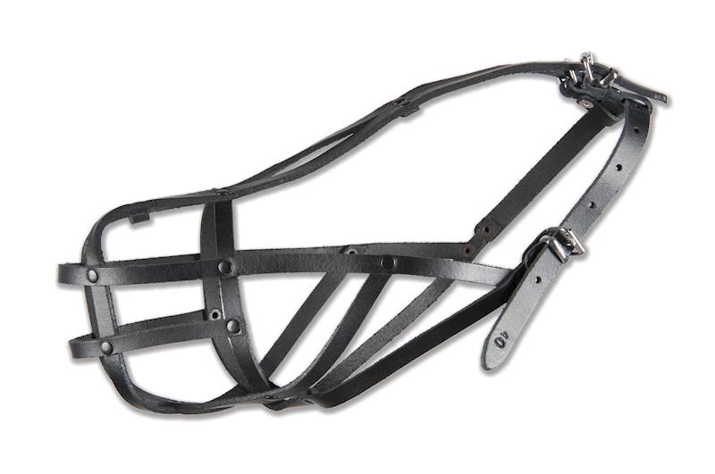 DINO KAGANIEC SK. NIT.40 AMSTAF 