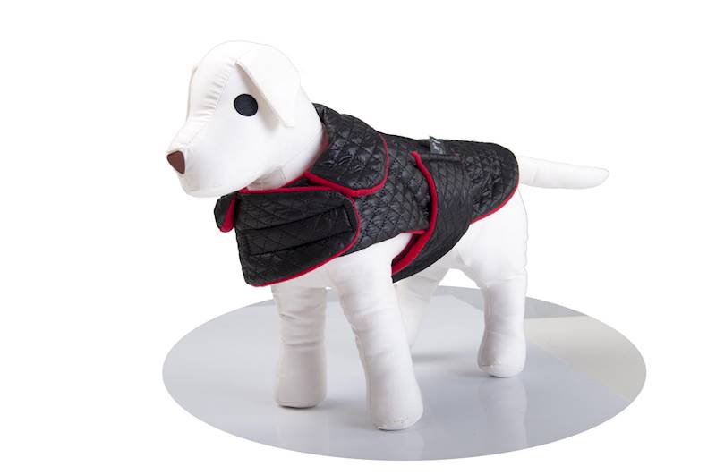 PŁASZCZYK PIKÓWKA NR 2 25CM