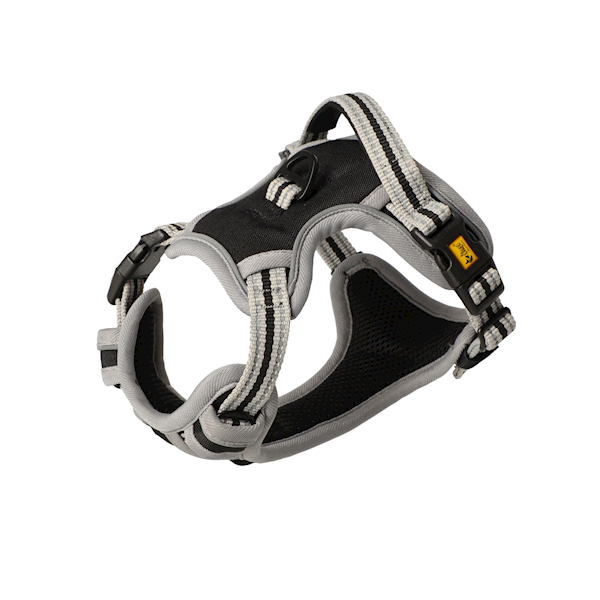 DG SZELKI BEZUCIS. DYNAMIC XS 29-31CM CZARNE