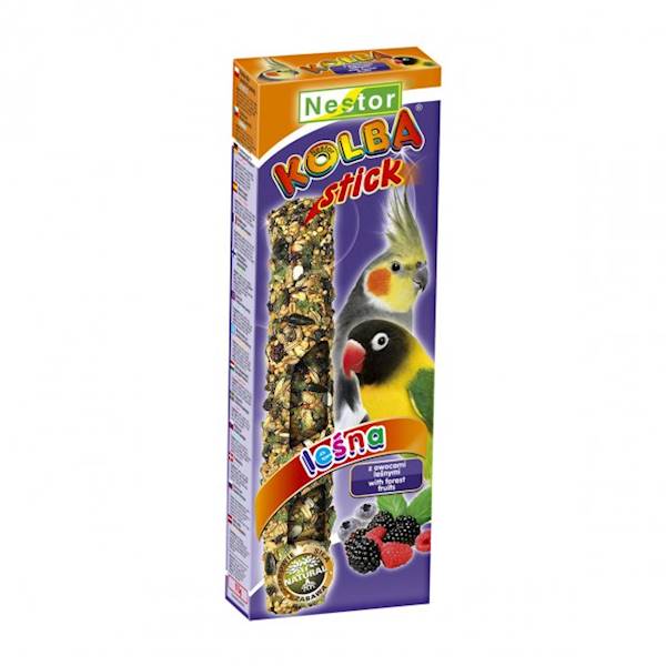 NESTOR KOLBA PAPUGA ŚREDNIA LEŚNA