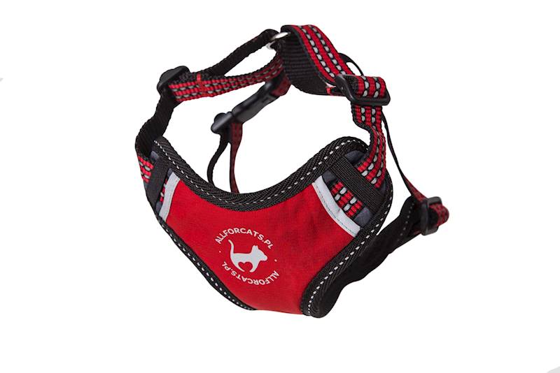 SZELKI SPORTOWE XS KOT CZERWONE