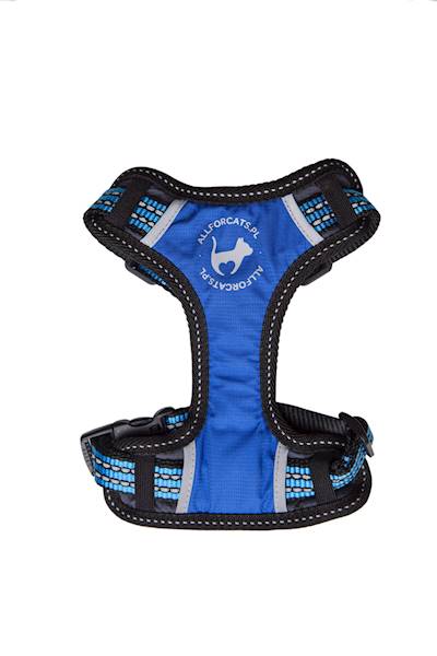 SZELKI SPORTOWE S KOT NIEBIESKIE