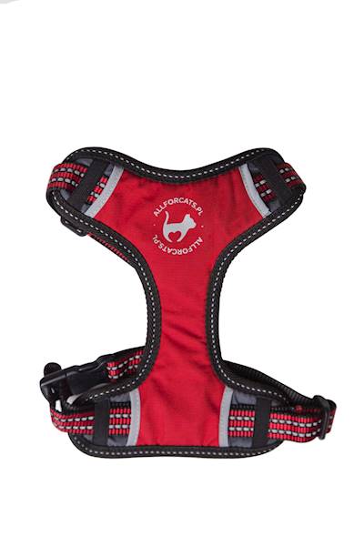 SZELKI SPORTOWE S KOT CZERWONE